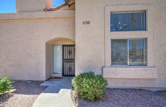 2019 W Lemon Tree Place photos photos