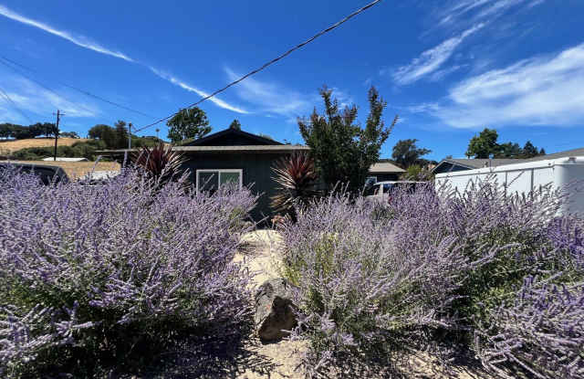 COMING SOON - Beautifully Renovated Napa Home with Charming Outdoor Space - 841 Foster Road, Napa, CA 94558