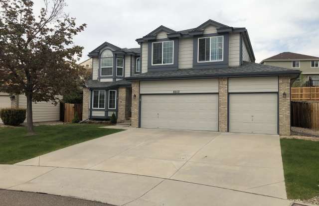 6513 South Owens Court Gallery 2