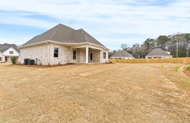 Available now. Brand new construction. 4Br, 3.5 Ba open concept home Gallery 3