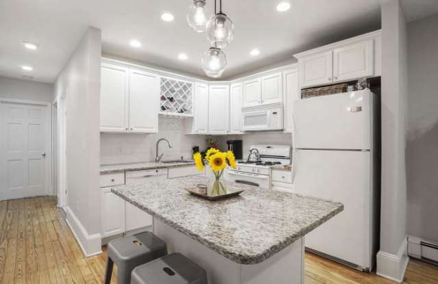 110 Union Park St. - 110 Union Park Street, Boston, MA 02118