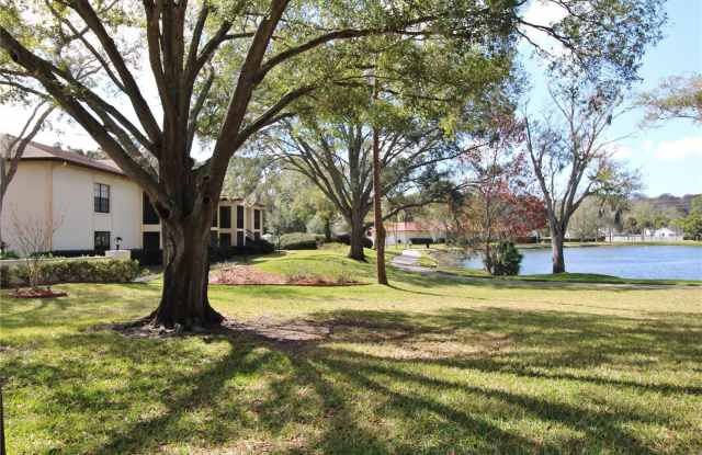 3400 CRYSTAL COURT W - 3400 Crystal Court West, East Lake, FL 34685