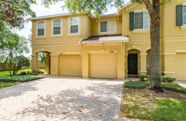 9339 STONE RIVER PLACE - 9339 Stone River Place, Riverview, FL 33578