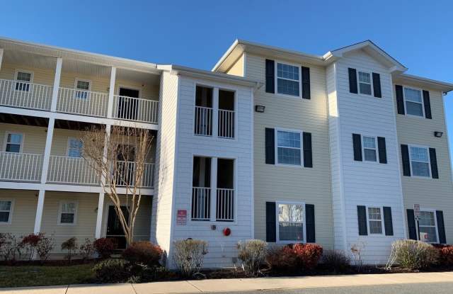 1205 CAITLINS Way - 1205 Caitlins Way, Millsboro, DE 19966