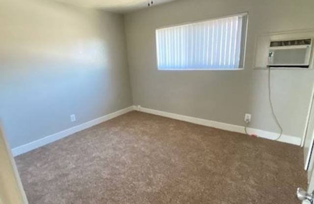 Palm Rose photos photos