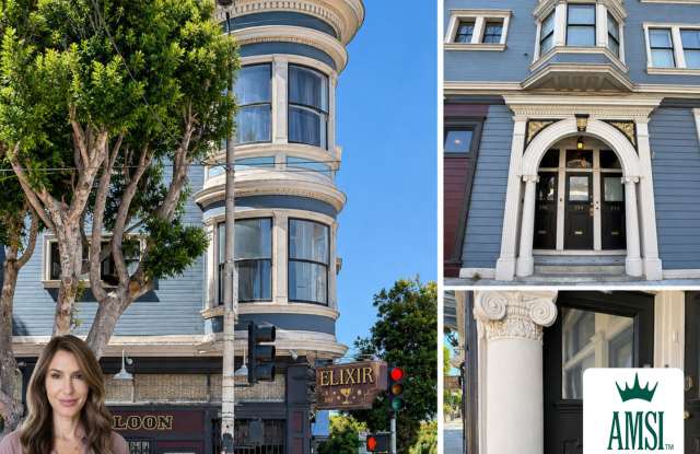 Luxury 3BR Victorian | Designer Home | Mission District | In-Unit Landry photos photos
