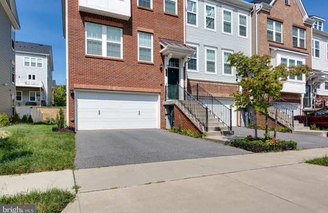 7718 CRESAP LANE Gallery 3