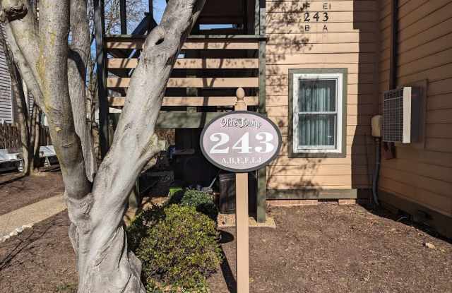 243 LOUDOUN STREET Gallery 3