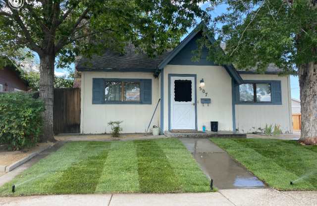 507 Burns Street, Reno, NV 89502 photos photos