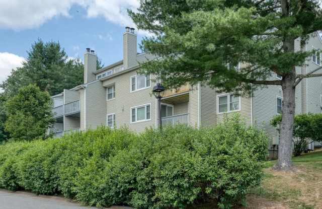 308 Carlton Lane photos photos