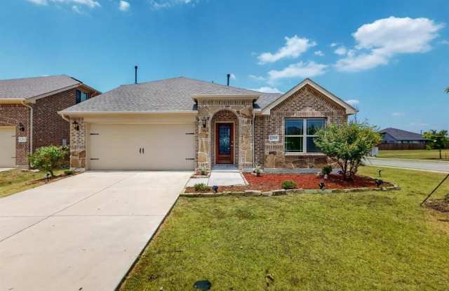 1265 Rosebush Road - 1265 Rosebush Road, Denton County, TX 76227