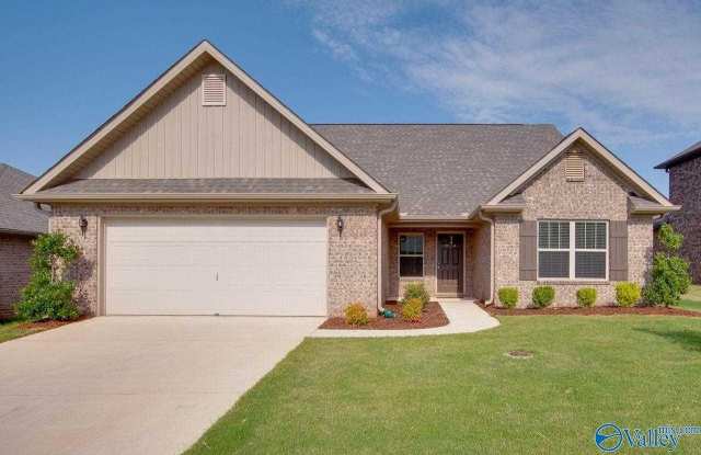 314 Fenrose Drive - 314 Fenrose Drive, Madison County, AL 35749