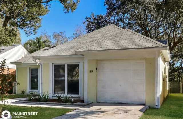313 Regal Park Drive - 313 Regal Park Drive, Brandon, FL 33594