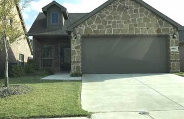 9821 Timberwolf - 9821 Timber Wolf Lane, McKinney, TX 75071