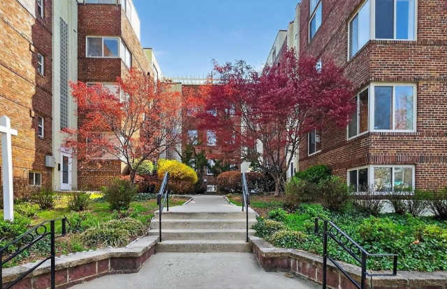 5405 9TH Street NW Gallery 4