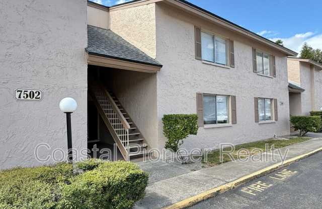 7502 Needle Leaf Pl - 7502 Needle Leaf Place, East Lake-Orient Park, FL 33617