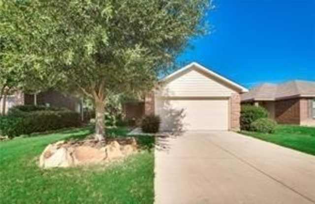 8809 Moon Rise Court - 8809 Moon Rise Court, Fort Worth, TX 76244