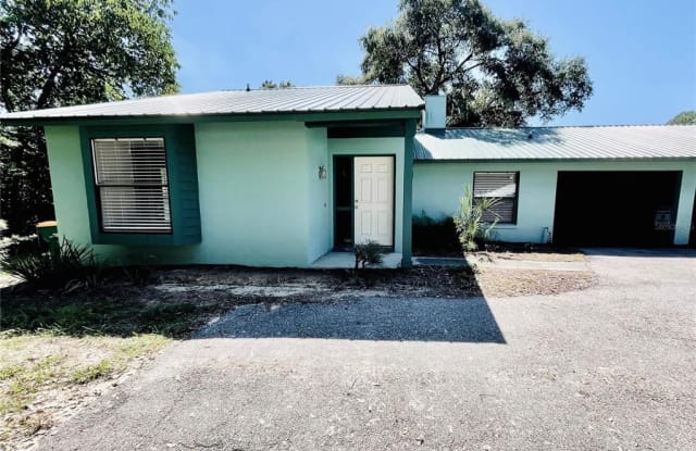 318 N SIMPSON STREET - 318 North Simpson Street, Mount Dora, FL 32757