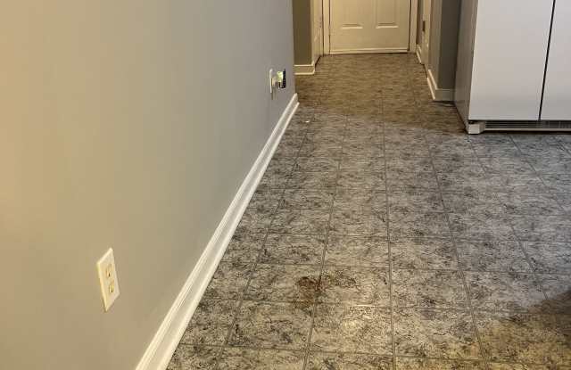 2905 Timbercrest Ct Gallery 4