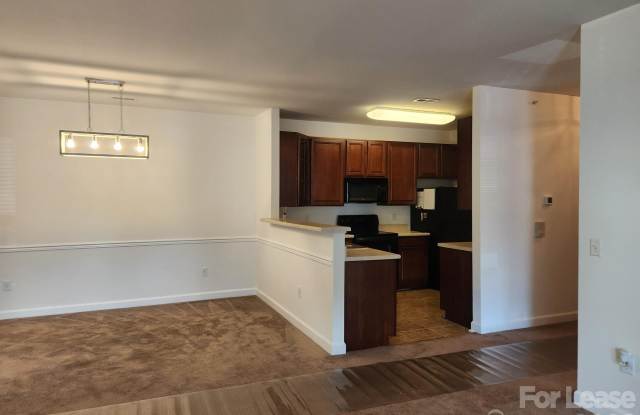 10522 Hill Point Court Gallery 4