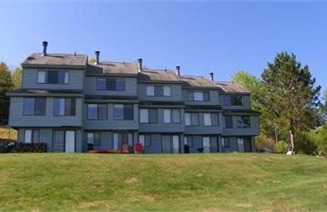 2+ Bed 2 Bath Furnished Winter Seasonal 6mo Rental Available Nov 1! - $1750/mo photos photos