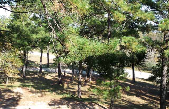 828 State Hwy 71 - 828 State Highway 71, Bastrop County, TX 78602