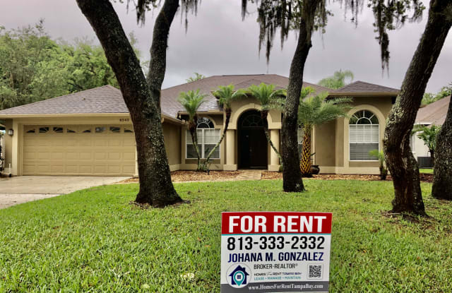 8543 Basuto Dr - 8543 Basuto Drive, Trinity, FL 34655