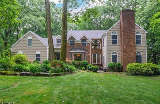 4 Elshaer Ct - 4 Elshaer Ct, Morris County, NJ 07869