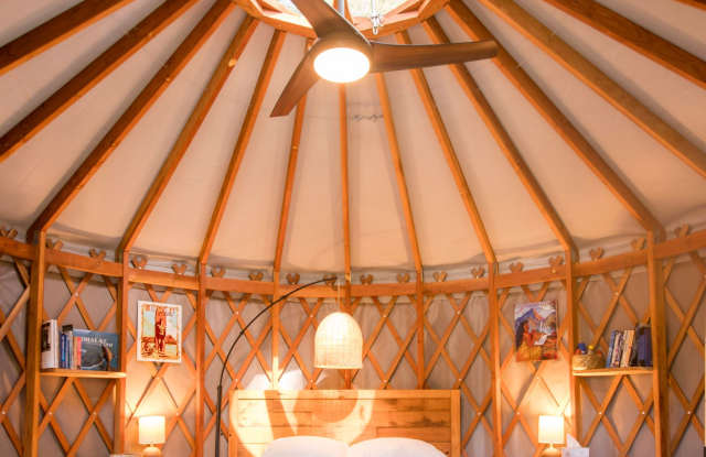 Furnished studio yurt in Hawi Gallery 4