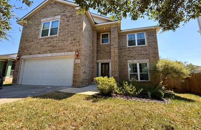 14234 Summer Squall photos photos