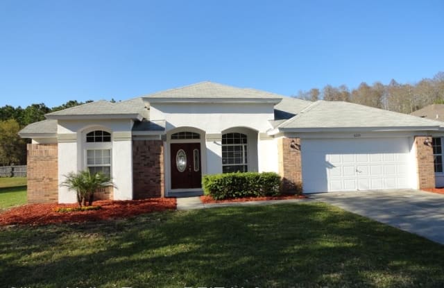 6315 Nikki Lane - 6315 Nikki Lane, Citrus Park, FL 33625