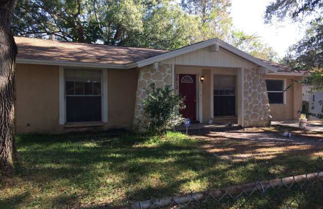 3513 Beechwood Blvd - 3513 Beechwood Boulevard, East Lake-Orient Park, FL 33619