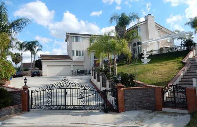 20128 Candleflame Court photos photos