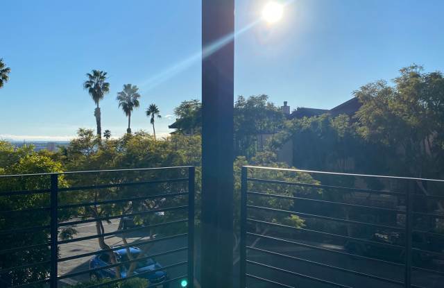 The Duke photos photos