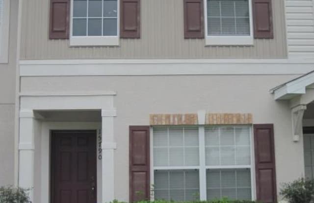 15790 Fishhawk Falls Dr - 15790 Fishhawk Falls Drive, Fish Hawk, FL 33547