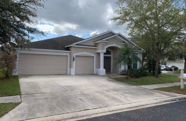 31024 Edendale Dr - 31024 Edendale Drive, Wesley Chapel, FL 33543