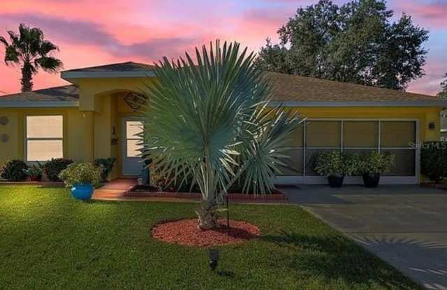 481 DOVE photos photos