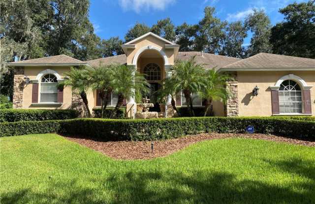 2304 FAIRWAY ESTATES COURT - 2304 Fairway Estates Court, Valrico, FL 33596