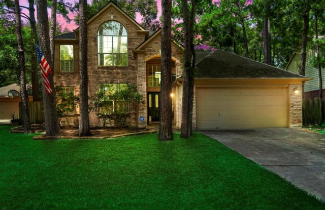51 E Rumplecreek Place - 51 E Rumplecreek Pl, The Woodlands, TX 77381