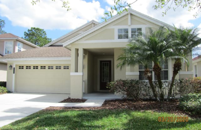 8115 Camella Ln. - 8115 Camella Lane, Tampa, FL 33647