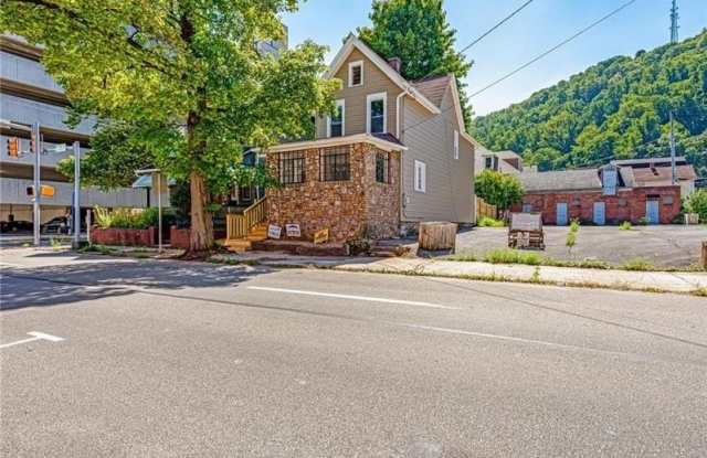 248 Vine St - 248 Vine Street, Johnstown, PA 15901