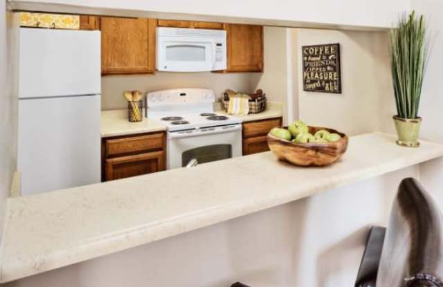 8649 Spicewood Springs Cove Gallery 3