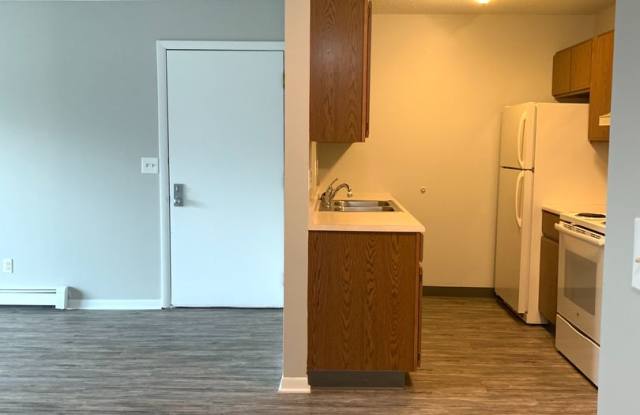 Large One Bedroom Apartment with Laundry in Unit! Gallery 4