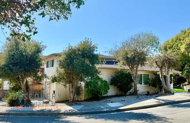 El Cerrito Contemporary Mid-Century 3 Bedroom Now Available! photos photos