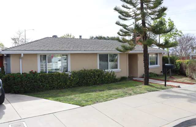 Cozy Single Family in Milpitas photos photos Cozy Single Family in Milpitas photos photos