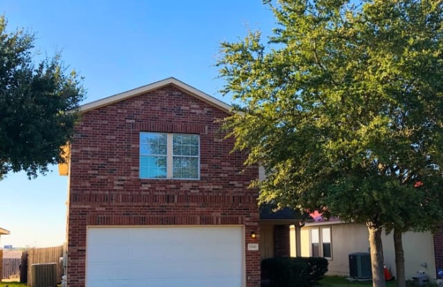 12840 Saint Mary Drive - 12840 Saint Mary Drive, Manor, TX 78653