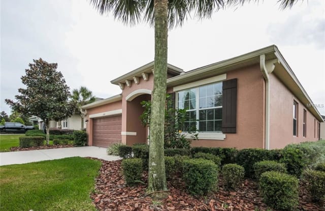 15634 STARLING WATER DRIVE - 15634 Starling Water Dr, Fish Hawk, FL 33547