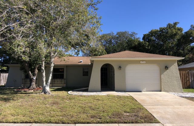 12914 Walnut Tree Ln - 12914 Walnut Tree Lane, Meadow Oaks, FL 34669