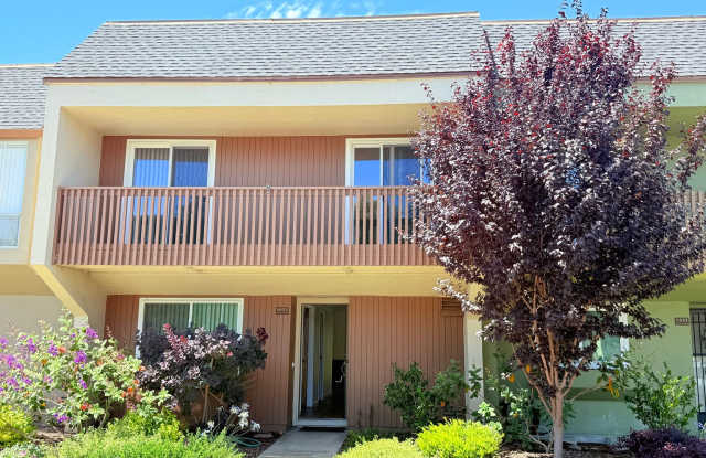 1033 Fontana - 30% Rental Fee photos photos