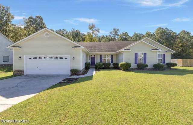 218 Dartmoor Trail - 218 Dartmoor Trail, Onslow County, NC 28540